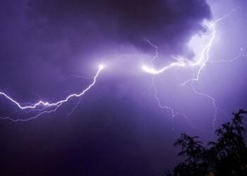 चट्याङ लागेर ४५ भेडा मरे