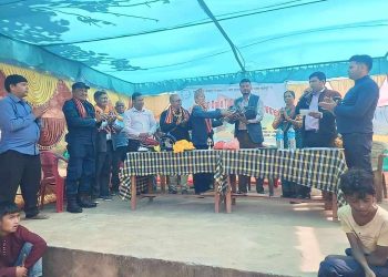 मल्लरानीको चौरपानीमा क्रिकेट प्रतियोगिता सुरु