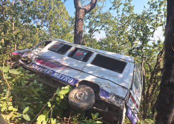 प्युठानमा हाईस दुर्घटना,१० घाइते