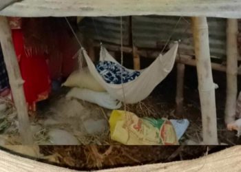 प्यूठानमा नबजात शिशु जिवित फेला