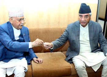 शक्तिशाली सरकार