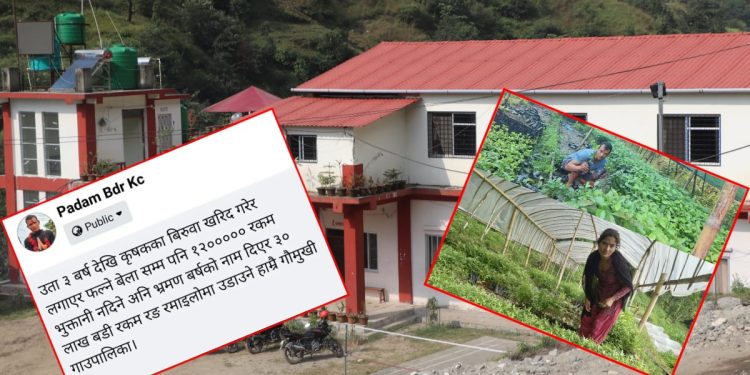 गौमुखी गाउँपालिकाले किसानलाइ दिएन भुक्तानी ! मंसिर १ गतेबाट आन्दोलनमा।